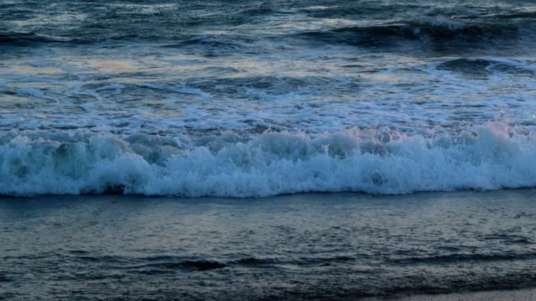 The ocean-tidal energy/wave energy is an alternative energy source